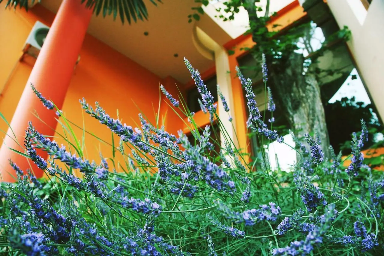 Boutique Hotel Art Villa Panorama Tbilisi